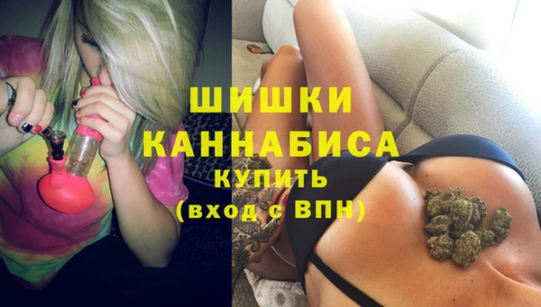 хмурый Нея