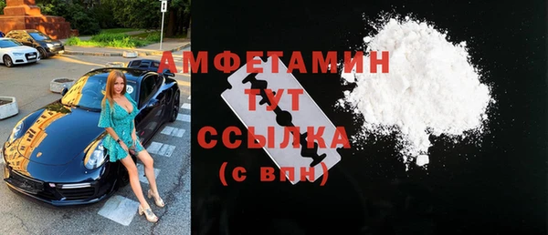 хмурый Нея